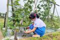 Giờ ra chơi trải nghiệm – sáng tạo năm học 2024-2025