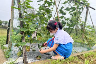 Giờ ra chơi trải nghiệm – sáng tạo năm học 2024-2025