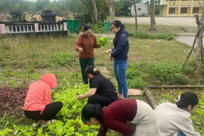 NÉT ĐẸP LAO ĐỘNG TRONG VƯỜN XANH